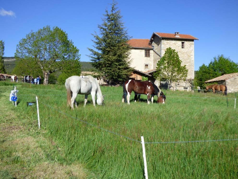 Le Relais Des Baronnies 호텔 Montjay  외부 사진